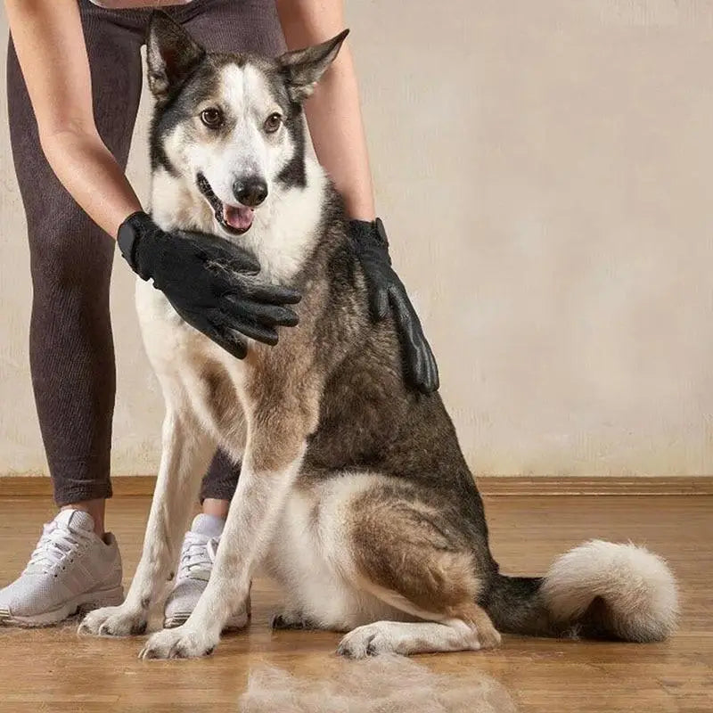 Person using pet grooming gloves to brush a dog for effective pet grooming during business days