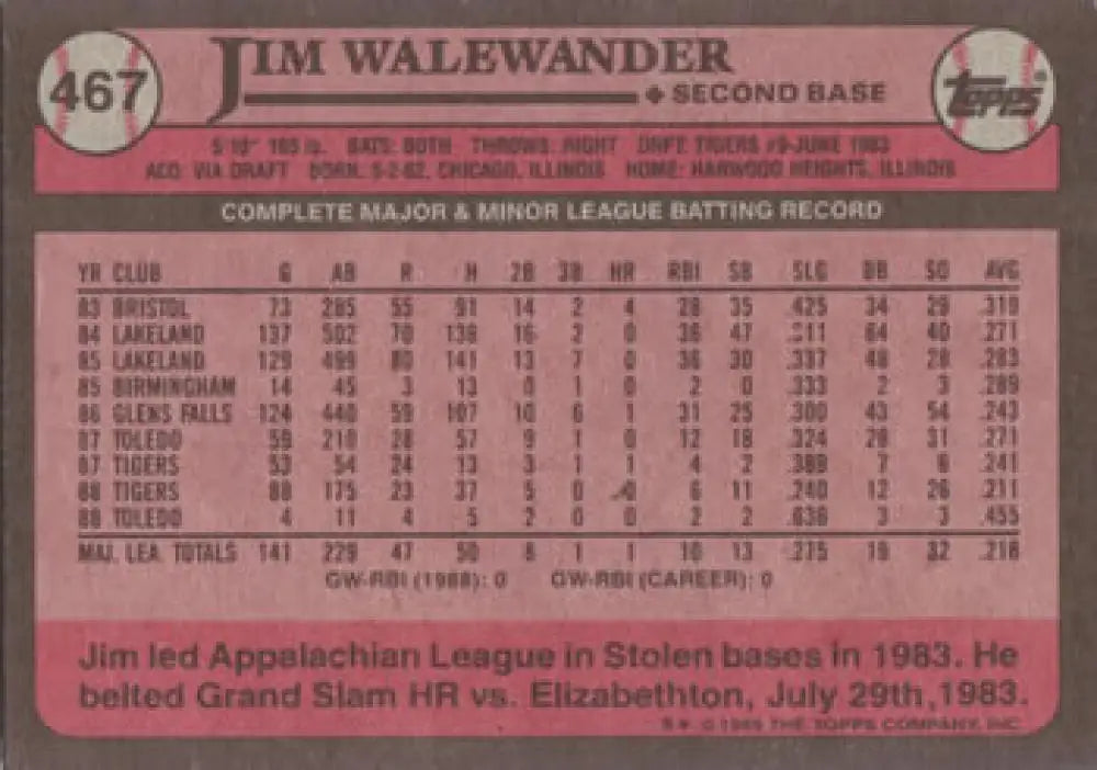 Baseball card of Jim Walewander featuring career stats for Detroit Tigers player