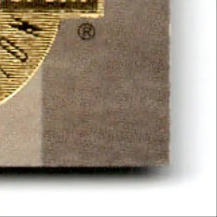 Gold coin with horse design and R symbol from 1993 Classic Multi-Sport Rob Niedermayer four sport