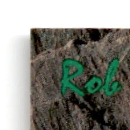 Green graffiti on textured stone surface featuring four sport Rob Niedermayer Florida Panthers
