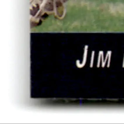 Bottom corner of a book featuring Jim Harbaugh Chicago Bears football memorabilia