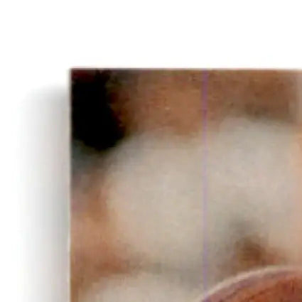 Textured brown and white basketball corner from 1993 Upper Deck SP Football Jim Harbaugh