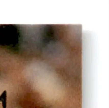 Top right corner of a square photo print featuring Jim Harbaugh football card from Upper Deck SP Football