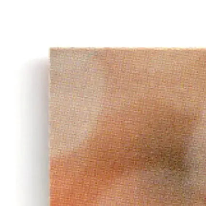 Corner of textured canvas print featuring Pacific Football Steve Young San Francisco 49ers