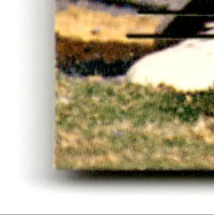 Corner of a printed Pacific Football Steve Young photograph with a curled edge