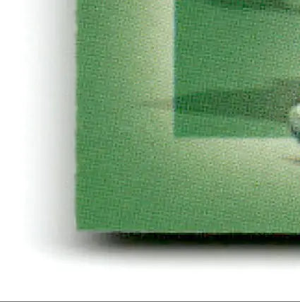 Green textured mat with slight shadow for Pacific Triple Folder Steve Young 49ers product
