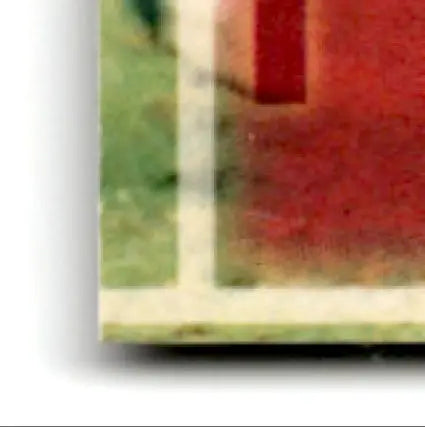Worn red and green tile with white border from 1994 Topps Football Stadium Club Steve Young card