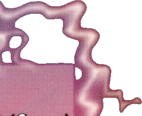 Abstract purple and pink blob shape for Topps Football Finest Steve Young card