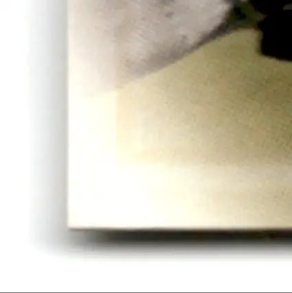 White art print with tan corner and shadow for Leaf Football Leshon Johnson memorabilia