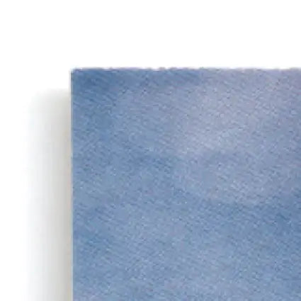 Blue textured leaf football paper with deckled edge for Muhsin Muhammad memorabilia