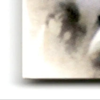 Blurred off-white leaf football Muhsin Muhammad #76 Carolina Panthers with dark abstract shape