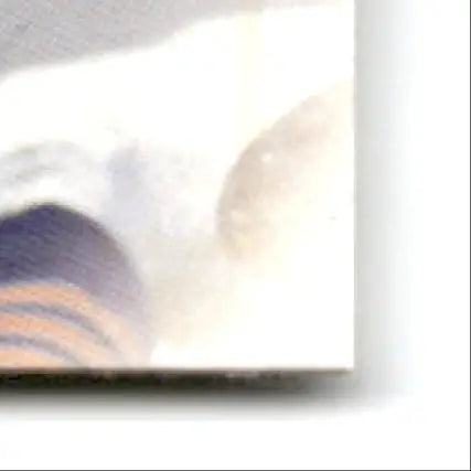 Glossy white surface with brown and blue-purple markings on Leaf Football Rashaan Salaam card