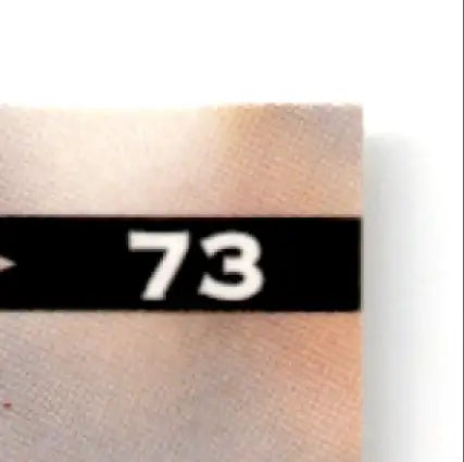 White numerical indicator on black strip in leaf football Rashaan Salaam Chicago Bears card