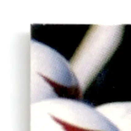 Close-up of white to light-blue leaf football fabric with red accents for Simeon Rice