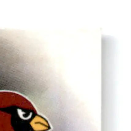Partial view of a red cardinal logo on Leaf Football Simeon Rice #74 Arizona Cardinals card