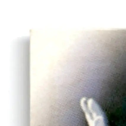 White canvas with blurry hands image on Leaf Football Simeon Rice Arizona Cardinals card