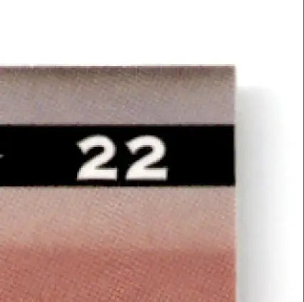 Leaf Larry Centers 1997 Leaf Larry Arizona Cardinals card with black stripe and number 22