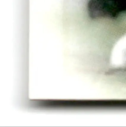 Corner of a white canvas with blurred abstract painting showcasing Leaf Terance Mathis art