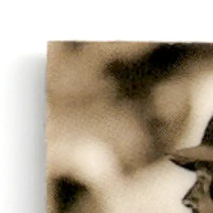 Sepia-toned printed fabric with abstract dark and light patterns for Bowman Baseball best Eric Karros Los Angeles Dodgers memorabilia