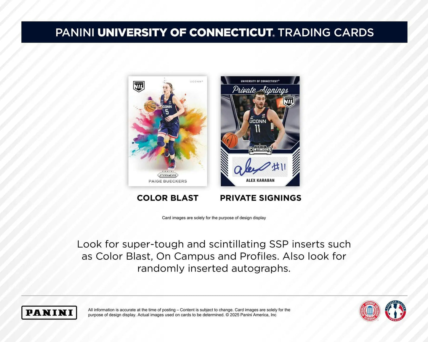 Panini UConn Collegiate Basketball trading cards from 2024-25 Panini UConn blaster box
