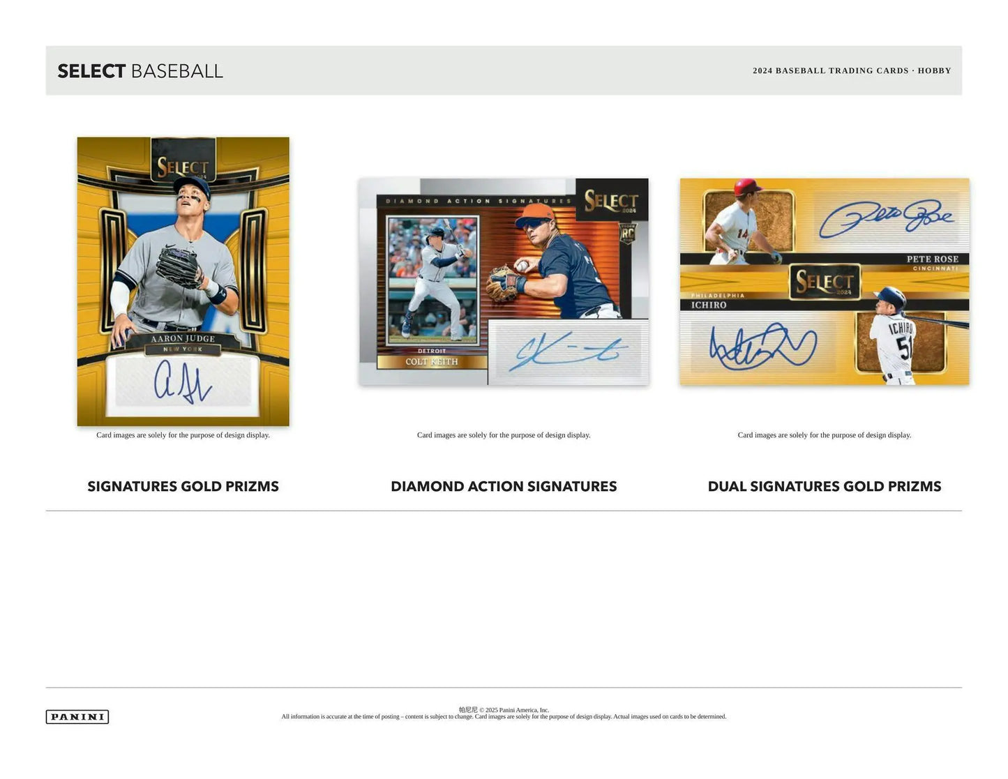 Baseball trading cards from the 2024 Panini Select Baseball Hobby Box featuring select baseball cards