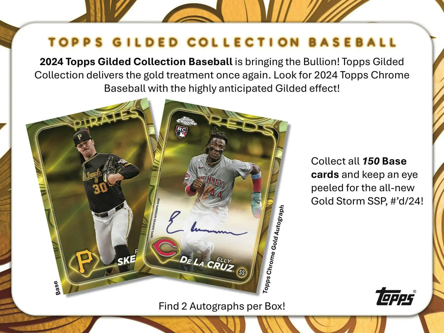 2024 Topps Gilded Collection Baseball cards featuring gold parallel inserts in a Hobby Box
