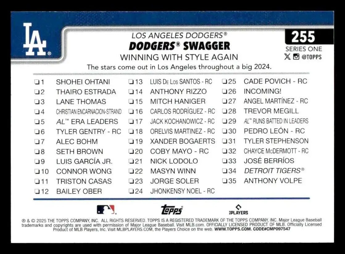 Back of a Dodgers Swagger baseball trading card from the Los Angeles Dodgers series