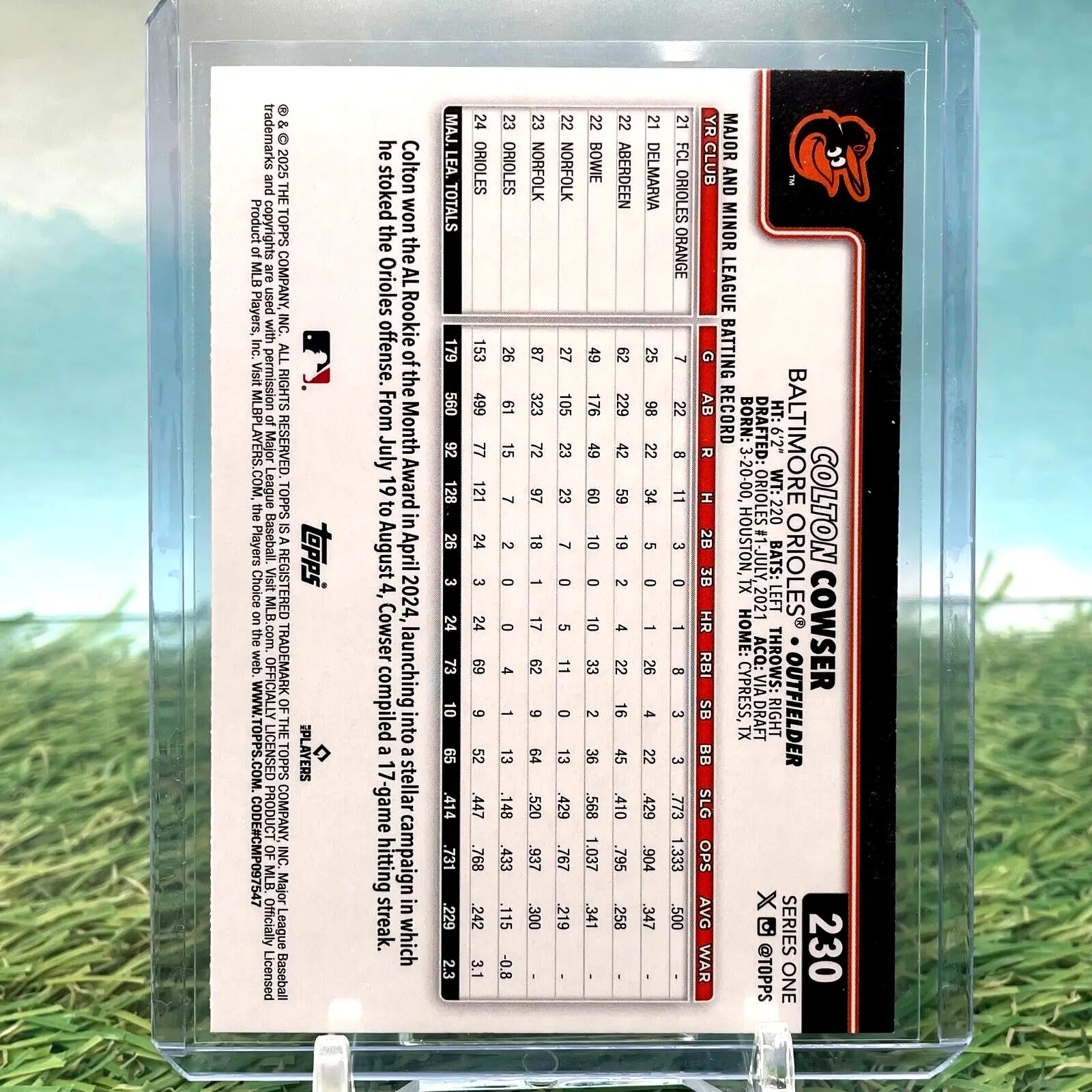 Colton Cowser baseball card from 2025 Topps Series 1 Spring Training Parallel #230 Orioles