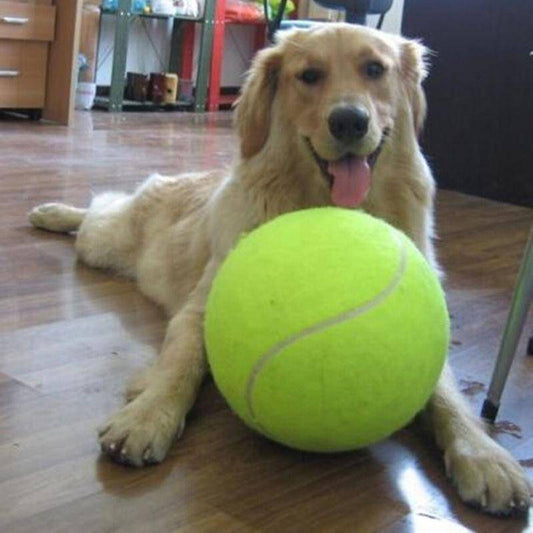 Jumbo Tennis Ball For Pets
