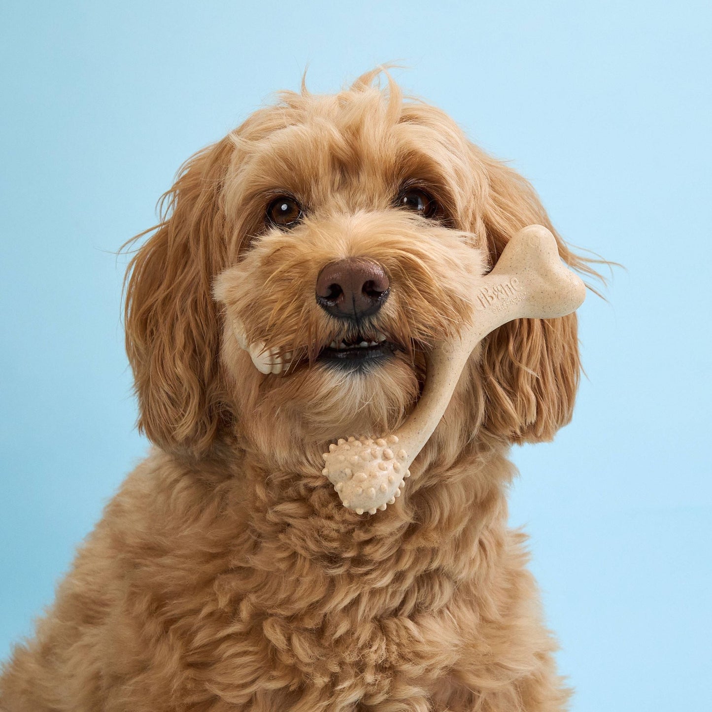 SOFT Durability CHEW TOY: Perfect Natural Chew for Teething Puppies, Senior Dogs & Gentle Chewers | Natural, Eco-Friendly, Non-Toxic