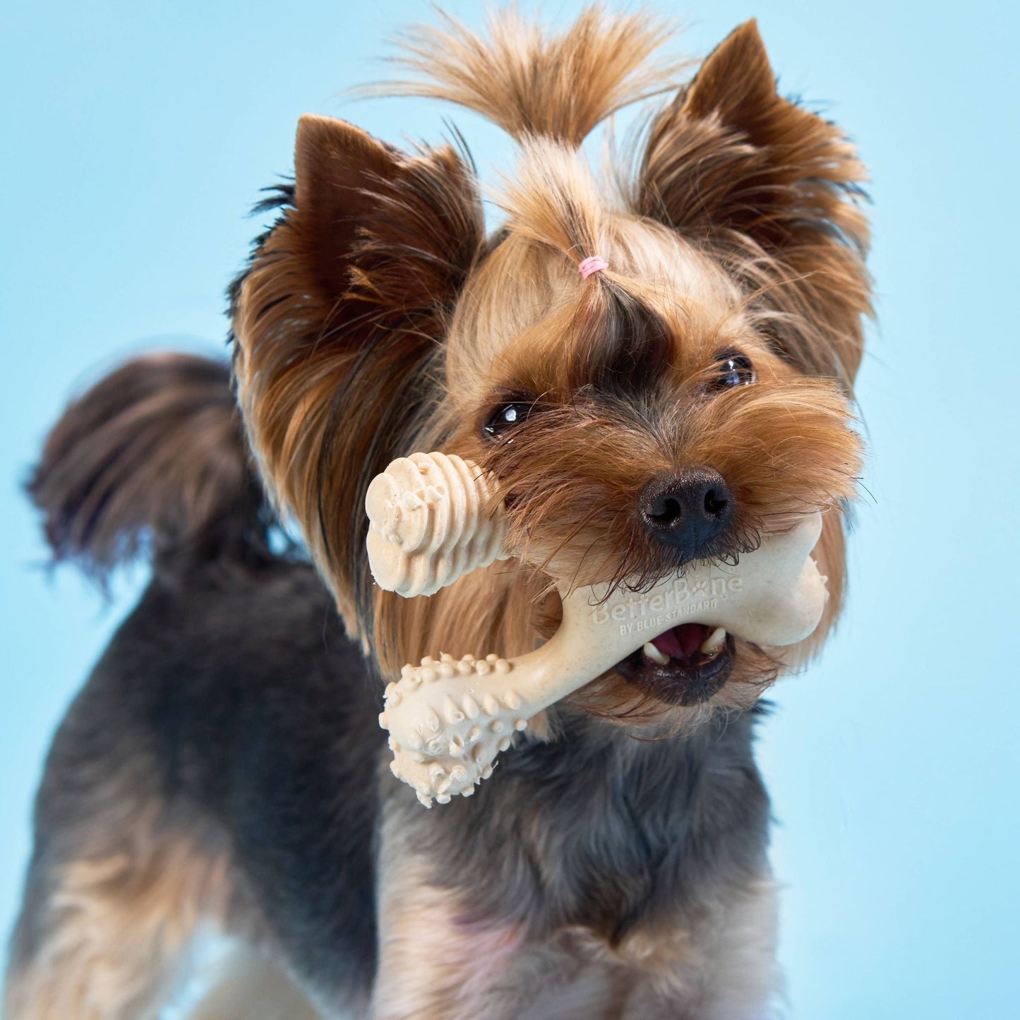 SOFT Durability CHEW TOY: Perfect Natural Chew for Teething Puppies, Senior Dogs & Gentle Chewers | Natural, Eco-Friendly, Non-Toxic