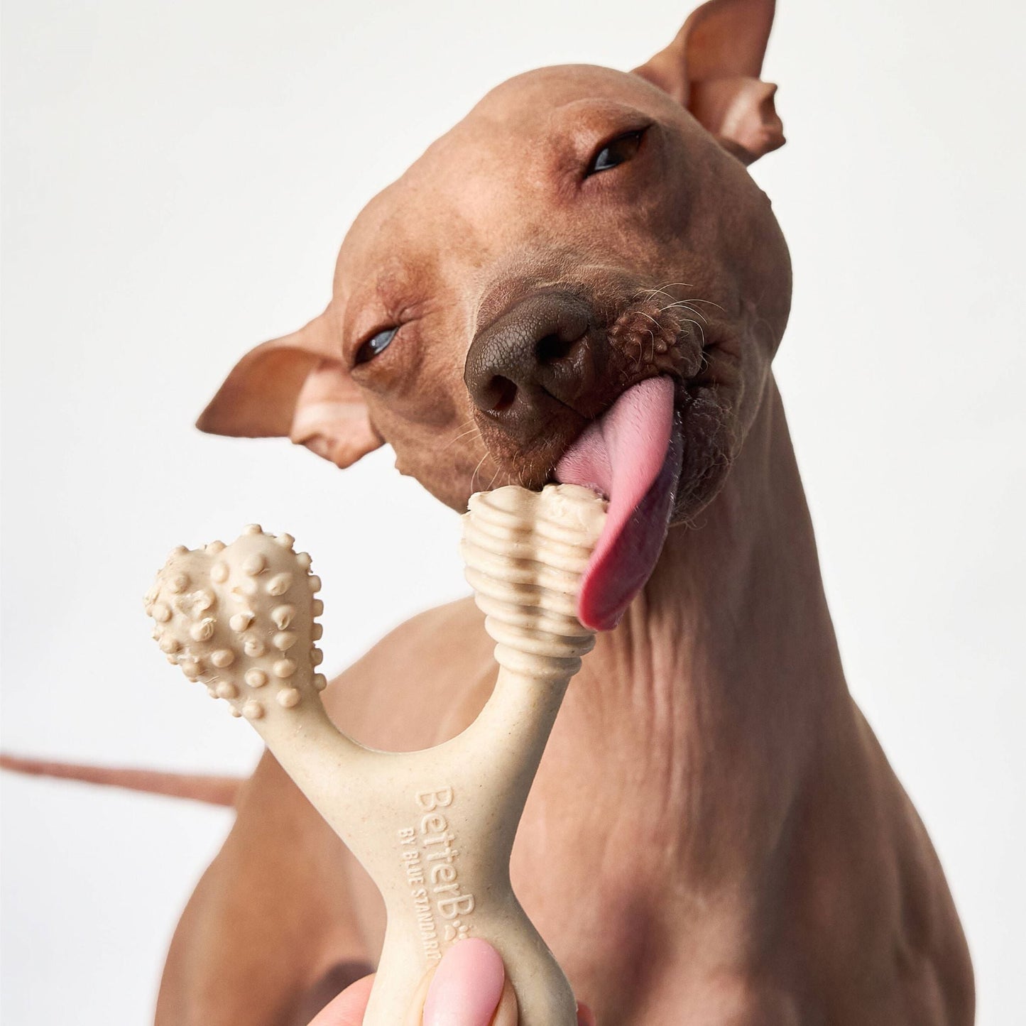 SOFT Durability CHEW TOY: Perfect Natural Chew for Teething Puppies, Senior Dogs & Gentle Chewers | Natural, Eco-Friendly, Non-Toxic