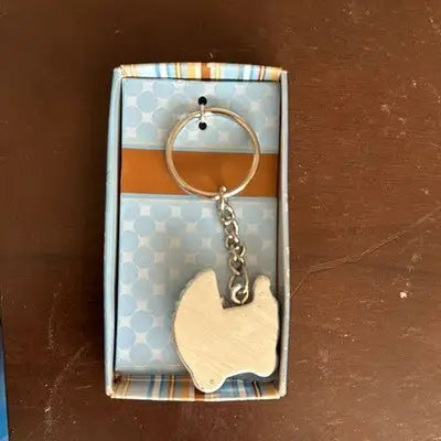 Baby carriage charm keychain with silver ring and light-colored irregular charm in patterned box