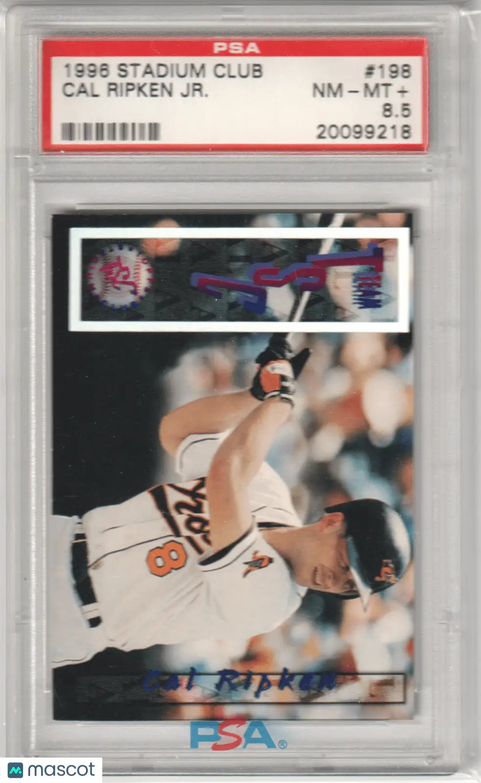 Graded Cal Ripken Jr. 1996 Topps Stadium Club baseball card from Columbia Hobby