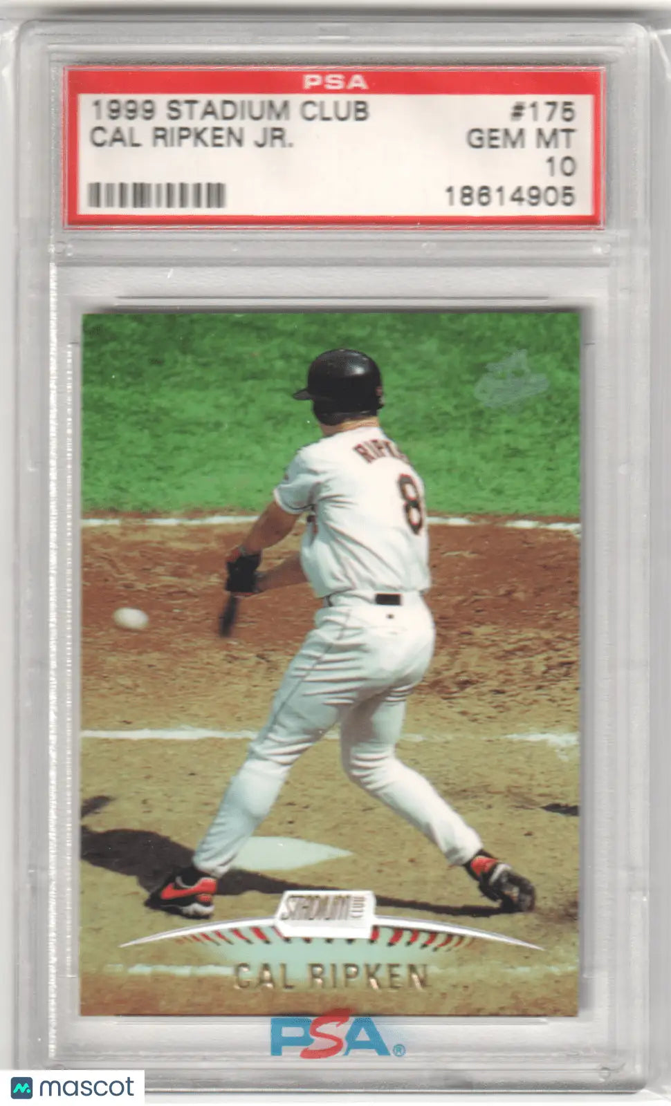 Graded Cal Ripken Jr. baseball card from Topps Stadium Club by Columbia Hobby in PSA 10