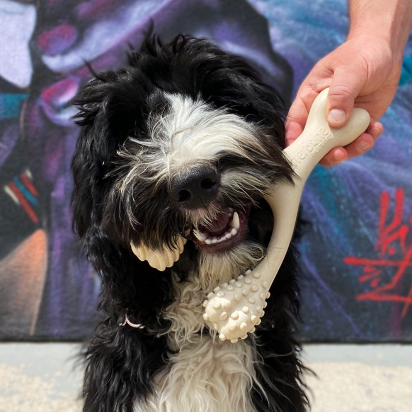 SOFT Durability CHEW TOY: Perfect Natural Chew for Teething Puppies, Senior Dogs & Gentle Chewers | Natural, Eco-Friendly, Non-Toxic