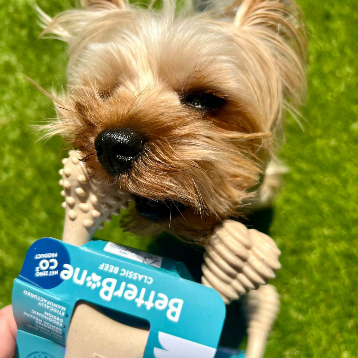 SOFT Durability CHEW TOY: Perfect Natural Chew for Teething Puppies, Senior Dogs & Gentle Chewers | Natural, Eco-Friendly, Non-Toxic
