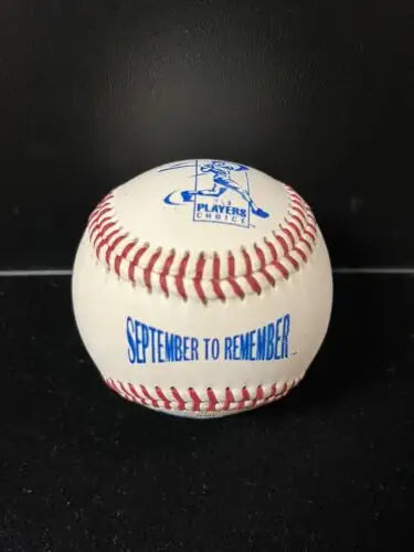 Commemorative MLB Players Choice September Remember Logo Ball Rawlings Coleman ONL Baseball