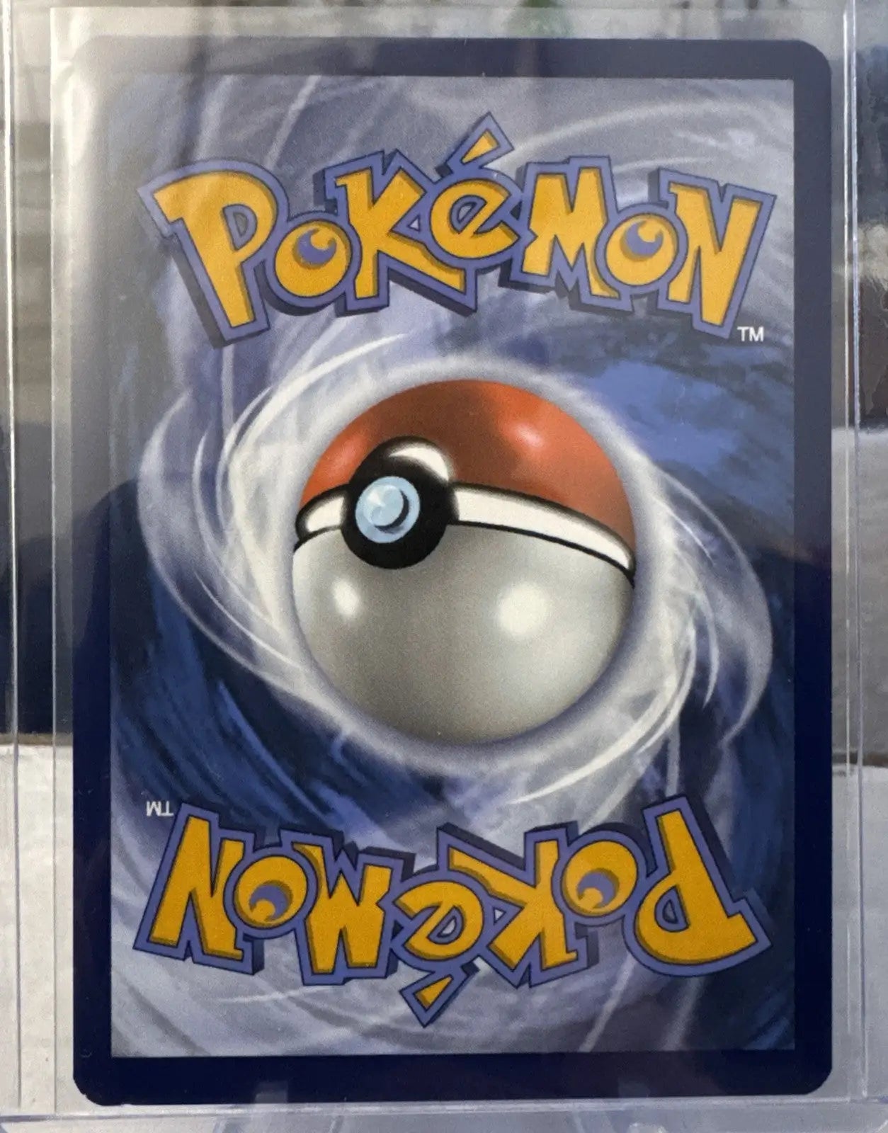 Pokemon Day 2025 Promos Feraligatr Illustration Contest 2024 Promo #213 Fresh