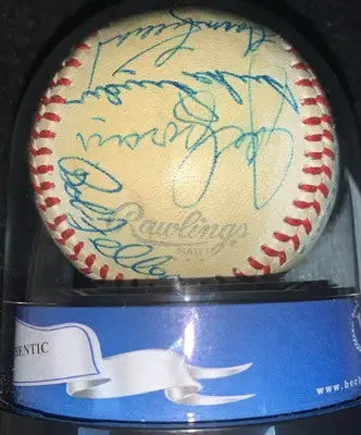 Official American League signed HOF baseball featuring Ted Williams and other legends in display case