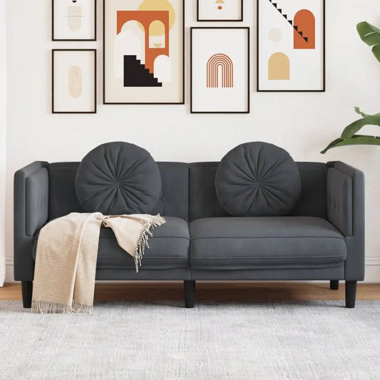 vidaXL Sofa with Cushions 2-Seater Dark Gray Velvet - Furniture > Sofas