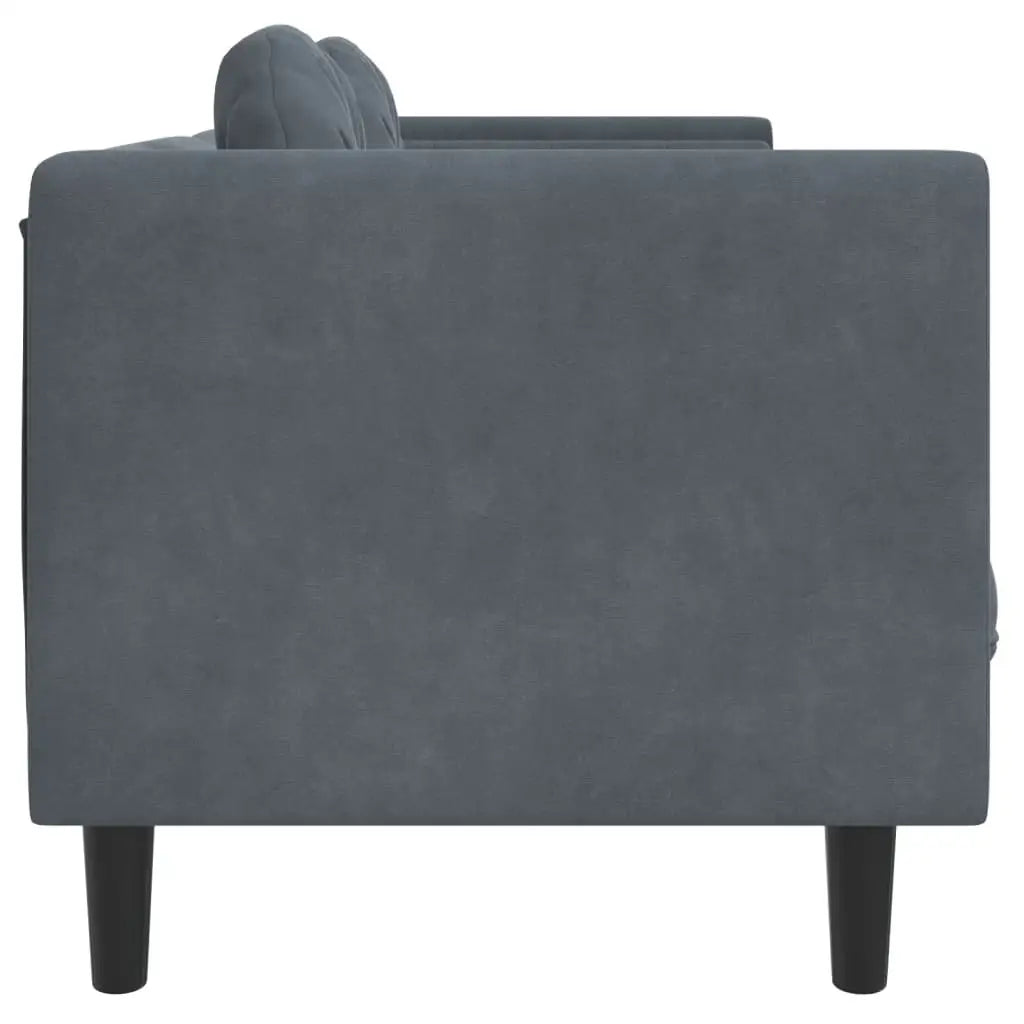 vidaXL Sofa with Cushions 2-Seater Dark Gray Velvet - Furniture > Sofas