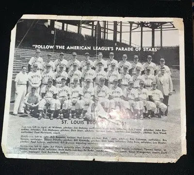 Vintage 1951 St Louis Browns 8x10 team photo featuring the baseball team