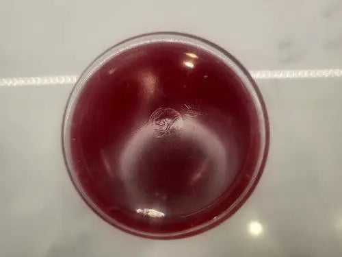 Vintage NCAA 1961-62 Ohio STATE BUCKEYE BASKETBALL NATIONAL CHAMPS - Drink Glass