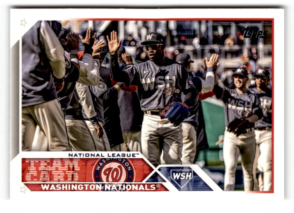 2023 Topps #316 Washington Nationals NM Near Mint