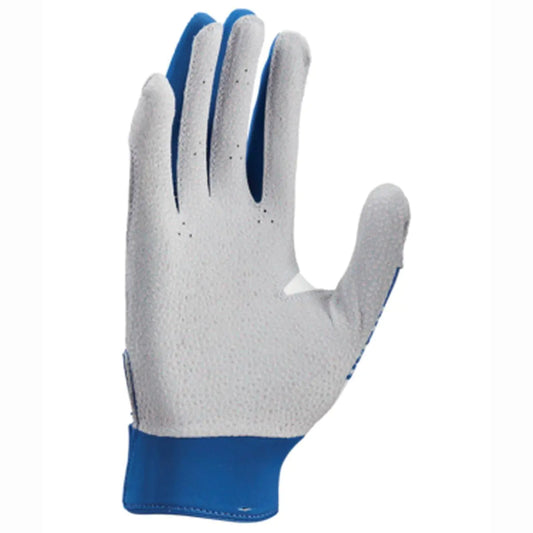 Nike Adult Hyperdiamond Select 2.0 Batting Gloves Royal | Silver Large