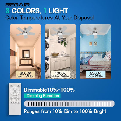 Ceiling Fan 32 Inch, Remote Control DC Motors, 3CCT 3000K-4000K-6500K Dimmable Timer Noiseless, Modern Nickel Compact Ceiling Fans with Light for Indoor & Outdoor-1