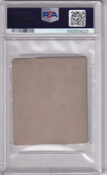 Clear plastic PSA card holder with a faded R346 Blue Tint card inside for display