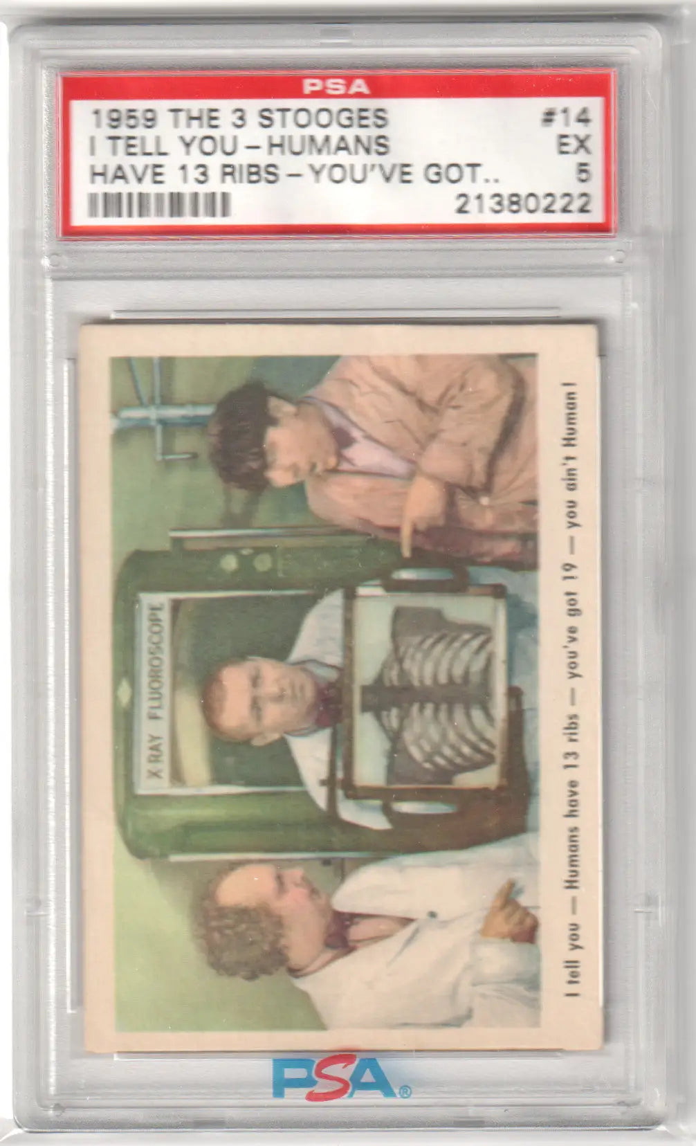Graded 1959 The 3 Stooges trading card PSA 5 from I Tell You-Humans collection