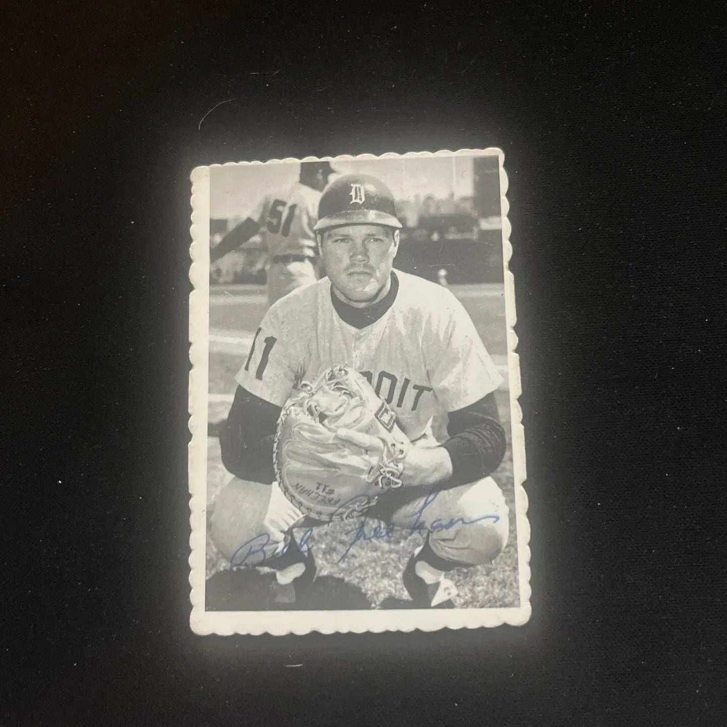Vintage 1969 Topps Deckle Edge Bill Freehan #10 baseball card trading cards showcase